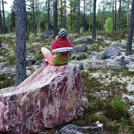 16 - Fulufjellets Nasjonalparker - Natur-, Dyre- Og Fugleopplevelser Ljordal Ngoại thất bức ảnh