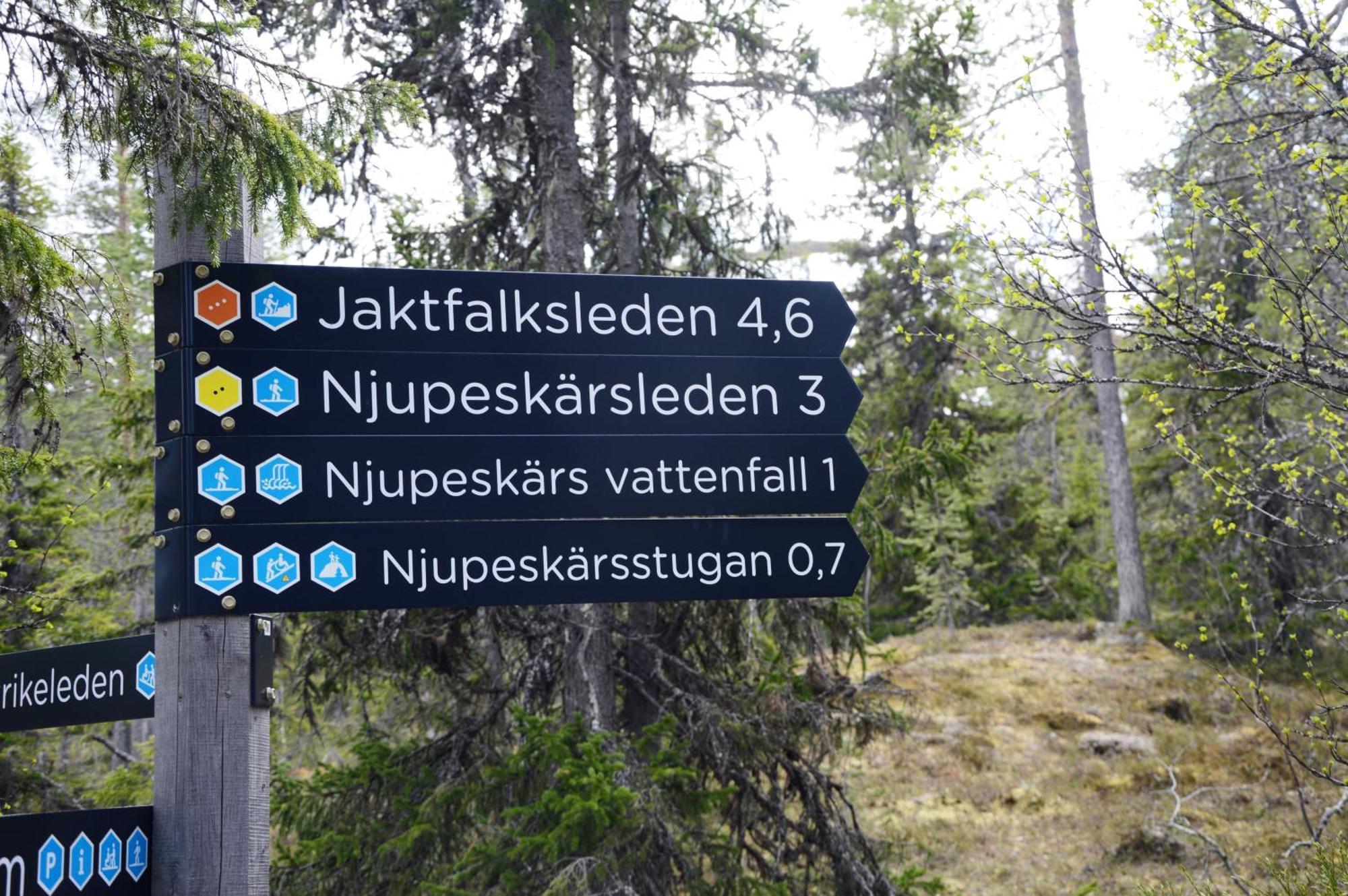 16 - Fulufjellets Nasjonalparker - Natur-, Dyre- Og Fugleopplevelser Ljordal Ngoại thất bức ảnh