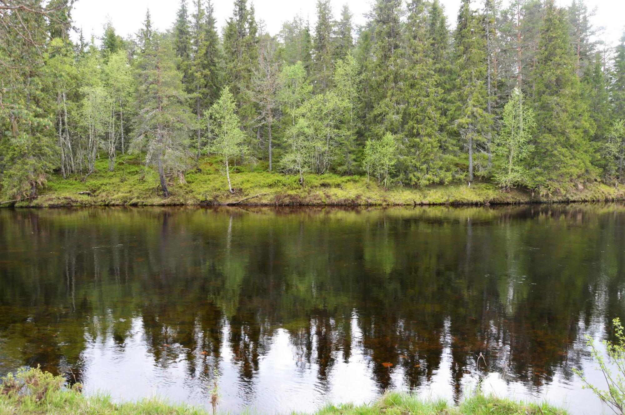 16 - Fulufjellets Nasjonalparker - Natur-, Dyre- Og Fugleopplevelser Ljordal Ngoại thất bức ảnh