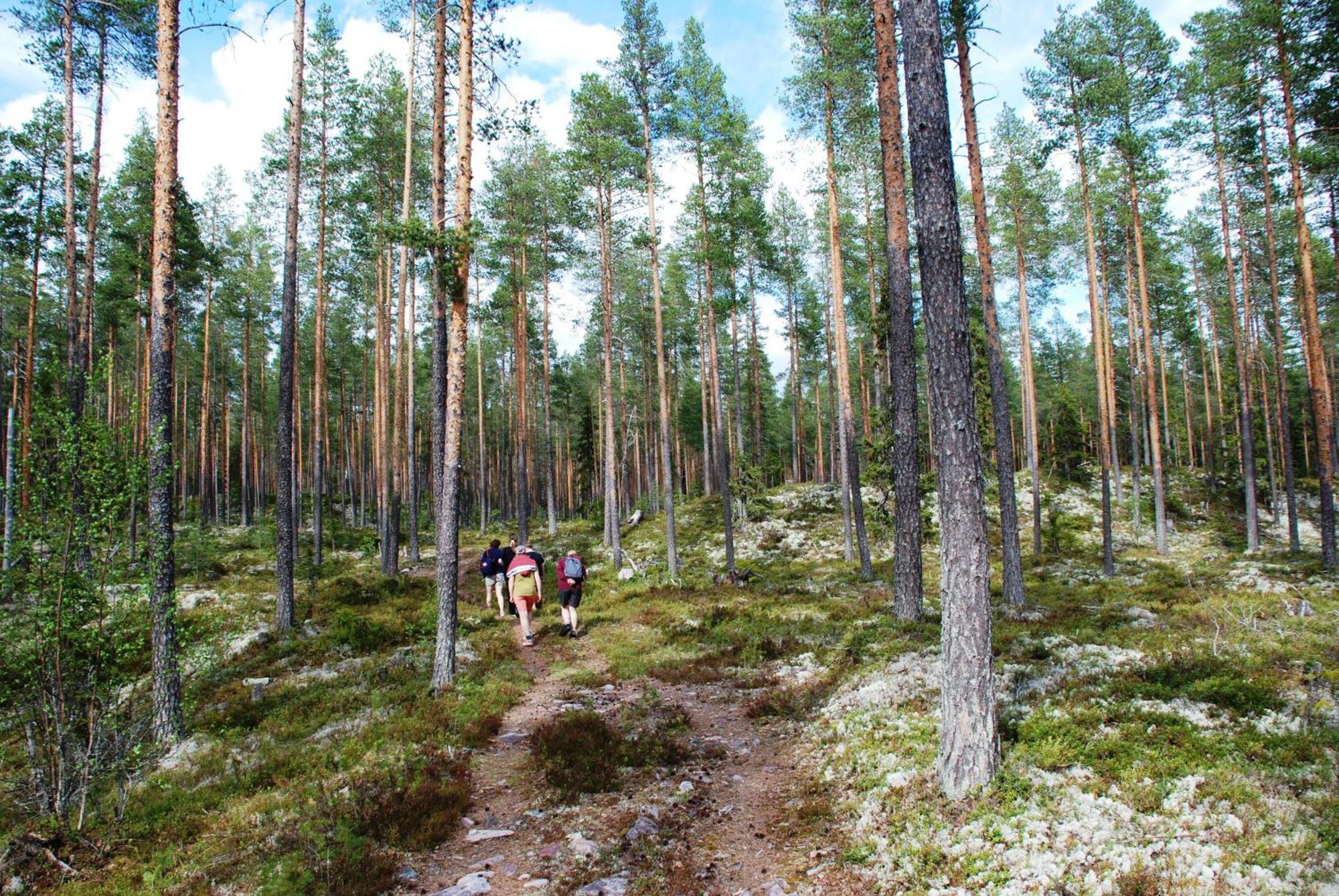 16 - Fulufjellets Nasjonalparker - Natur-, Dyre- Og Fugleopplevelser Ljordal Ngoại thất bức ảnh