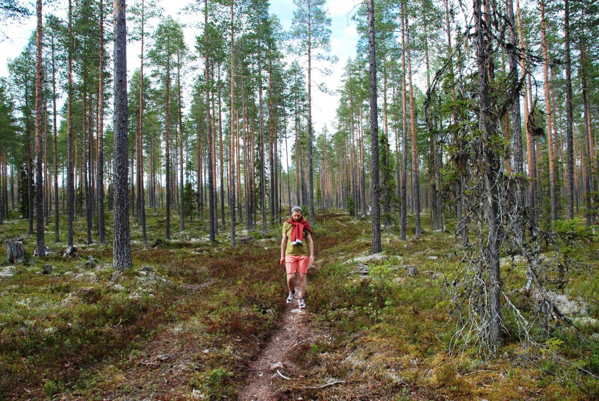 16 - Fulufjellets Nasjonalparker - Natur-, Dyre- Og Fugleopplevelser Ljordal Ngoại thất bức ảnh