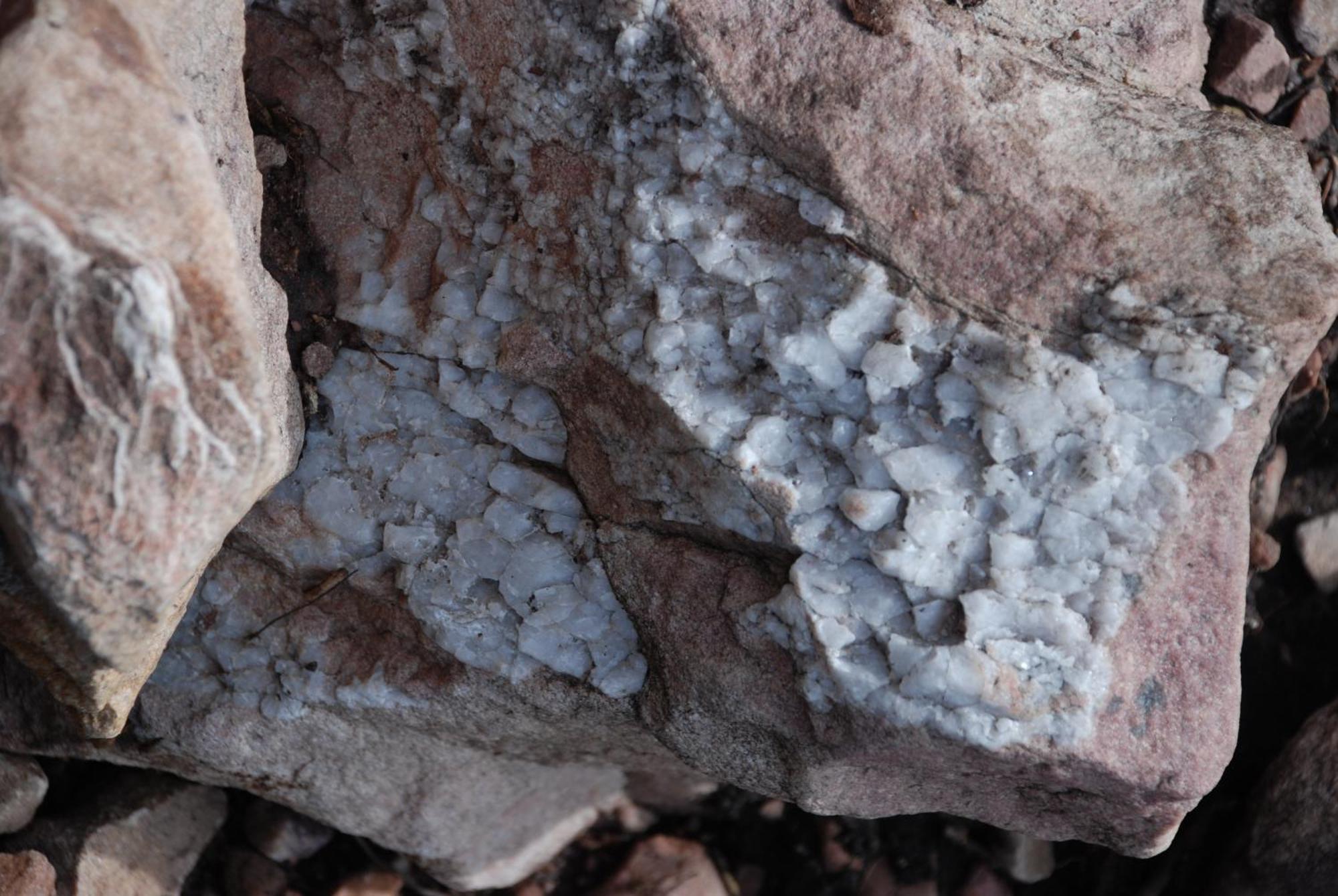 16 - Fulufjellets Nasjonalparker - Natur-, Dyre- Og Fugleopplevelser Ljordal Ngoại thất bức ảnh