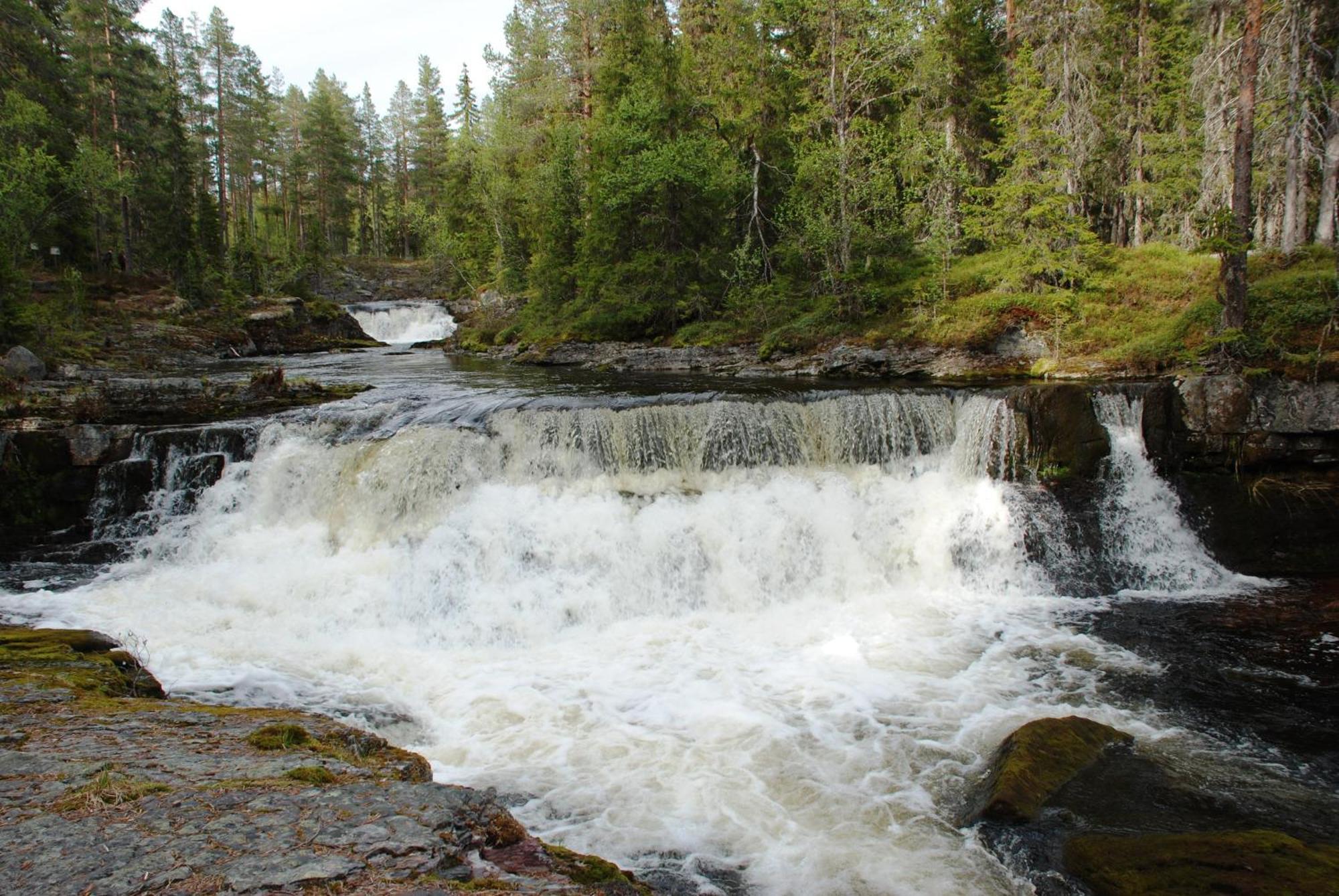 16 - Fulufjellets Nasjonalparker - Natur-, Dyre- Og Fugleopplevelser Ljordal Ngoại thất bức ảnh