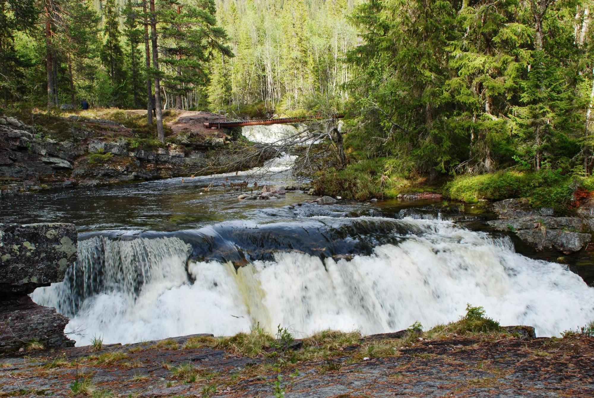 16 - Fulufjellets Nasjonalparker - Natur-, Dyre- Og Fugleopplevelser Ljordal Ngoại thất bức ảnh